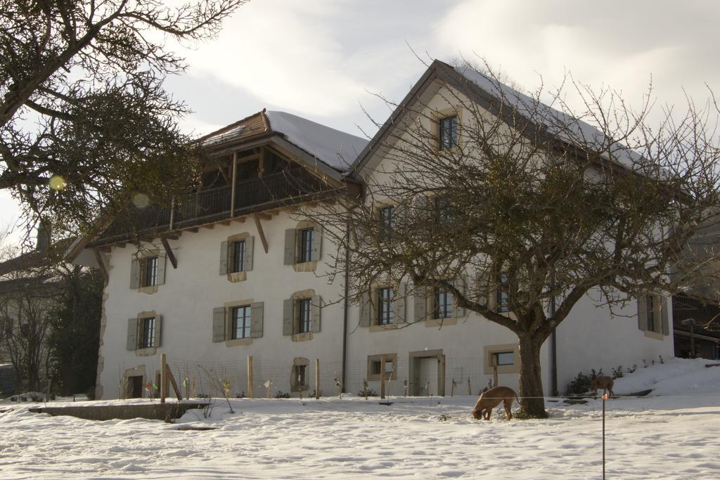 La Ferme De La Praz B&B Exterior photo